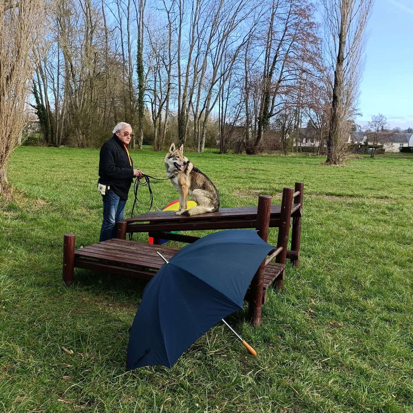 Comportementaliste canin à Savigny-sur-Braye dans le Loir-et-Cher