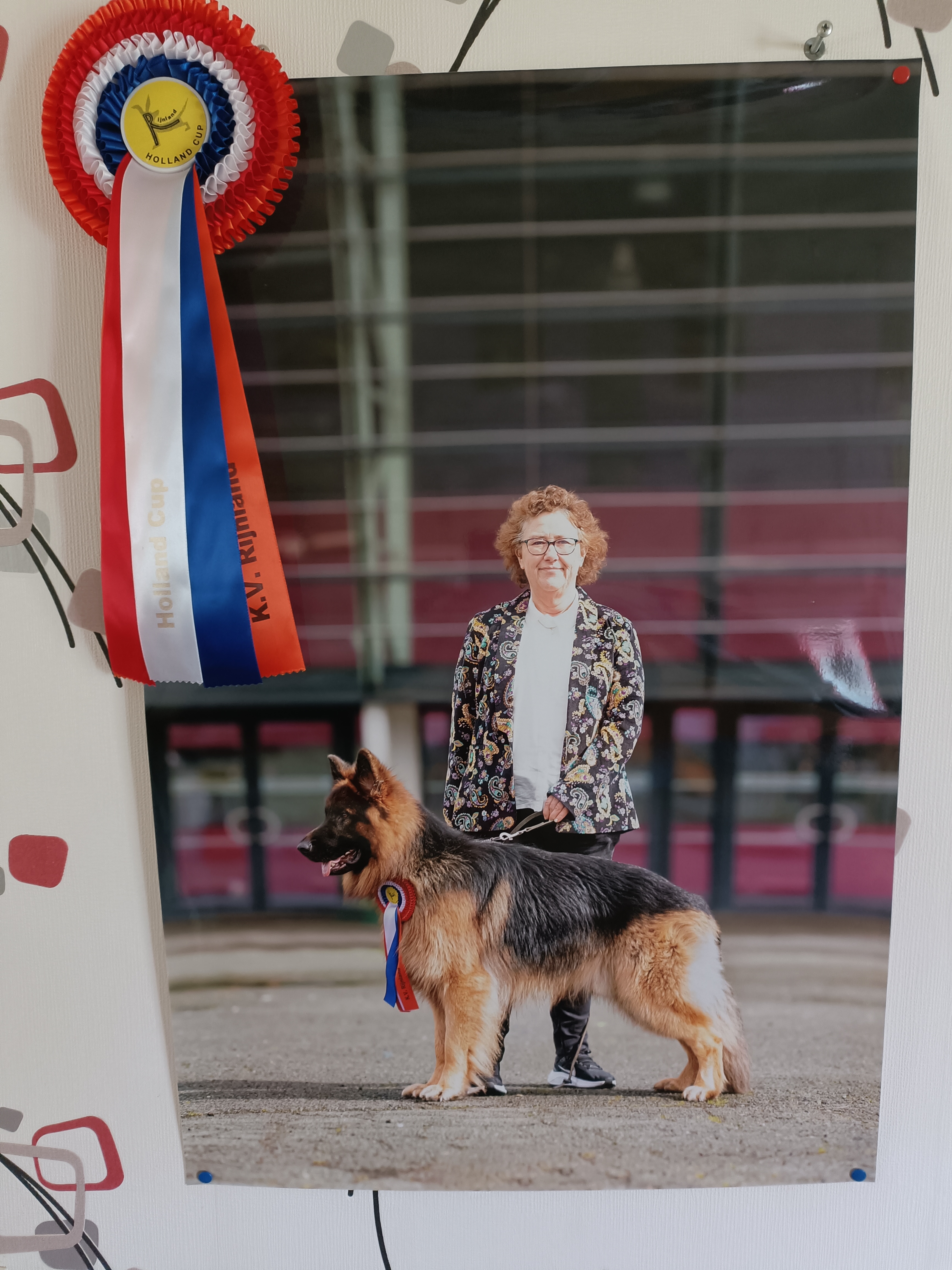 Entraînement pour Exposition Canine et Préparation pour la Confirmation